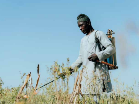 Nigeriju truju pesticidi koji su zabranjeni u Evropi