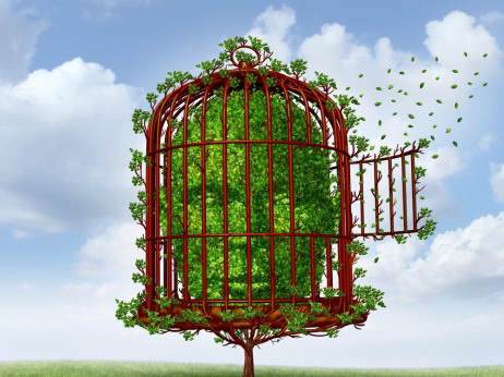 Kako je veštačka inteligencija uspela da nas ubedi da ne mislimo svojom glavom