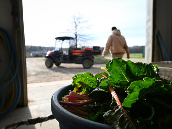 Rat u Iranu potresa globalni lanac hrane - preti rast cena i rizik od nestašica