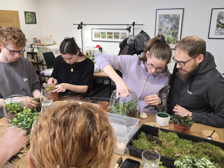 Digitalni umor, analogni odgovor