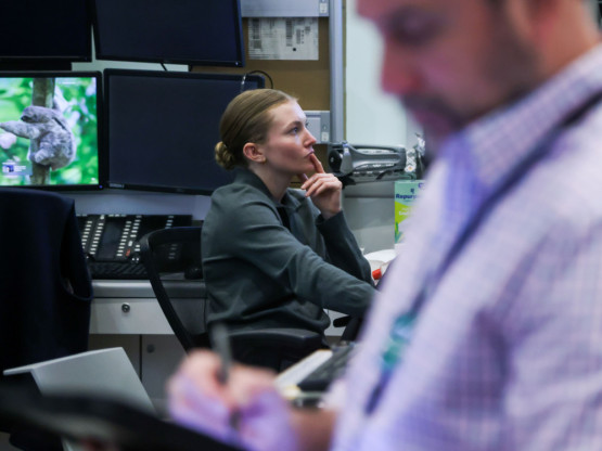 Pregled berze: Crvena Evropa, rast u SAD, buđenje bitkoina